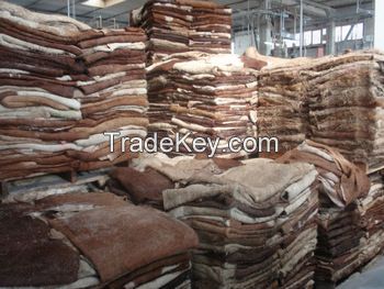 Dry and Wet Salted Donkey Hides