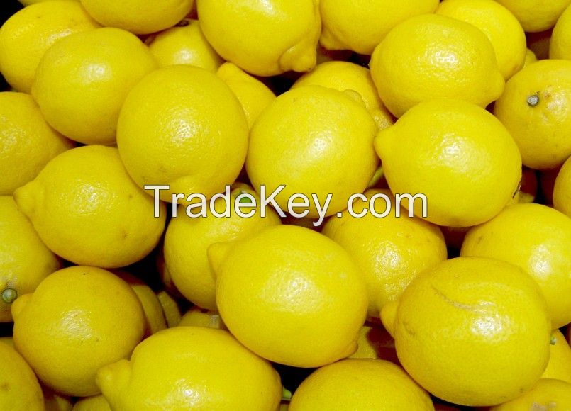 Best Quality Fresh Lemons Grade A