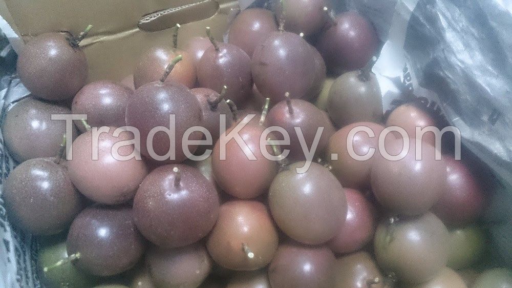 PASSION FRUIT PUREE With HIGH QUALITY And THE MOST COMPETITIVE PRICE.