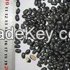 High Quality Black Kidney Bean Available Now 2014 Crop Year (6723)