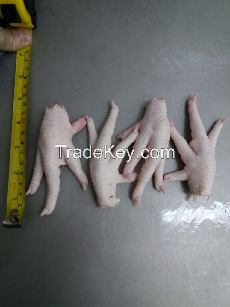 chicken feet y paws