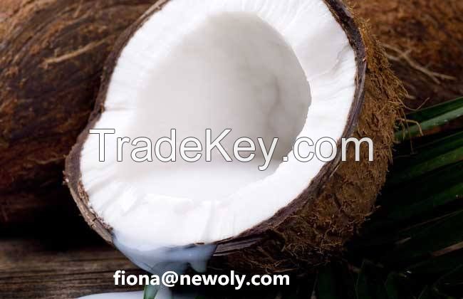 Pure Coconut milk Powder