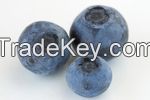 Fresh Blueberry