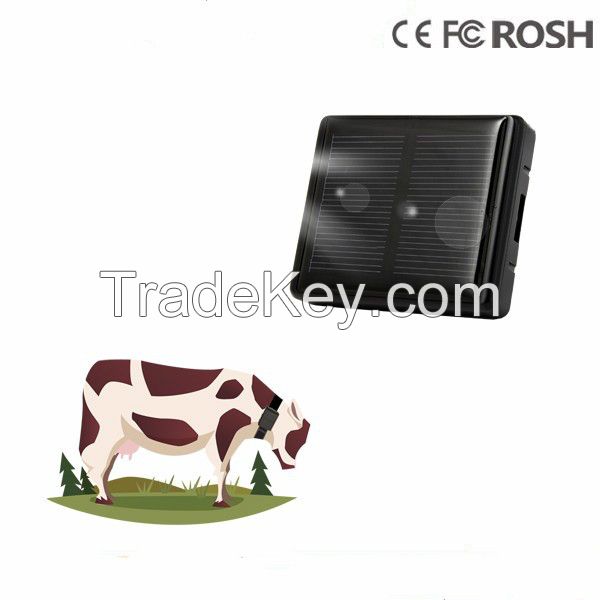 Waterproof IP66 solar GPS tracker for hunting dogs