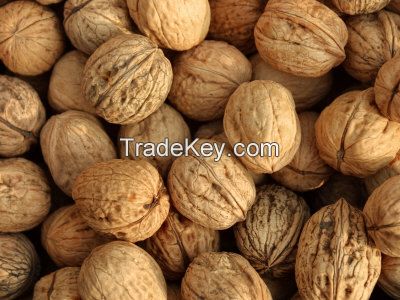 Walnuts