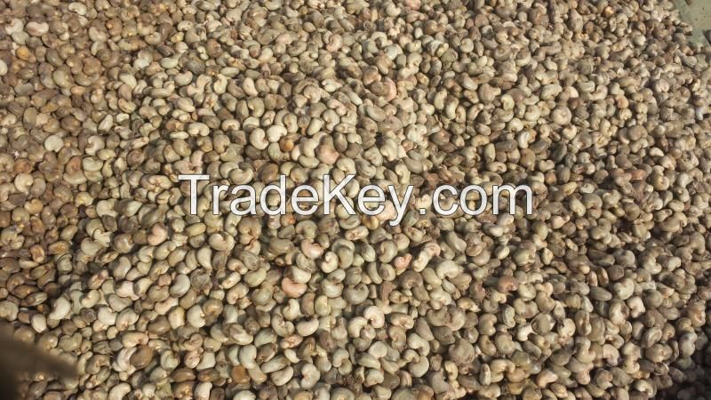 Raw Cashew Nut - Top Grades Quality | Orgin = Africa Region 