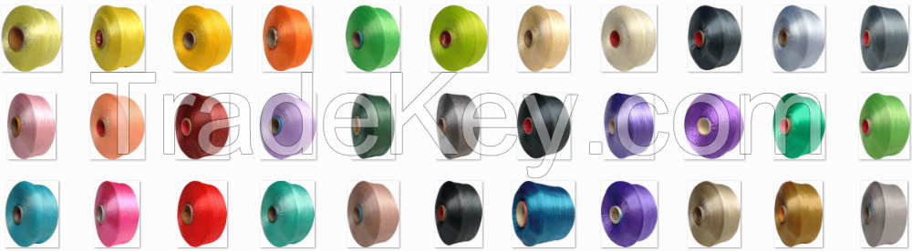 Multi-filament polypropylene yarn