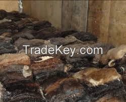 Wet And Dry Salted Donkey Hides And Cow Hides