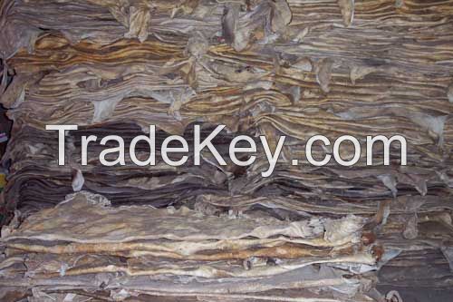 dry salted donkey hides