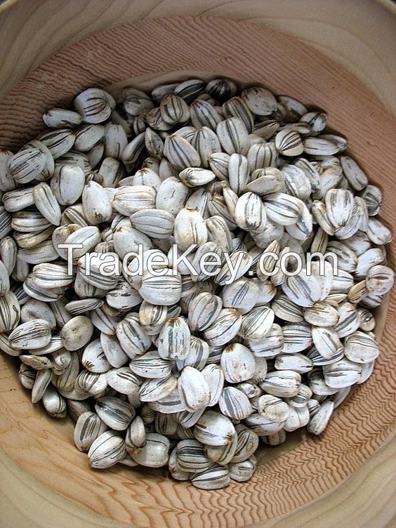 Sunflower seeds