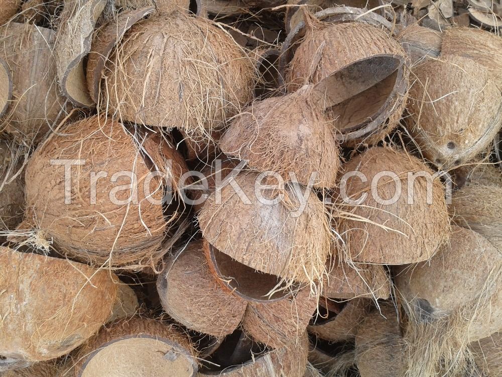 coconut shell chipscoconut shell chips