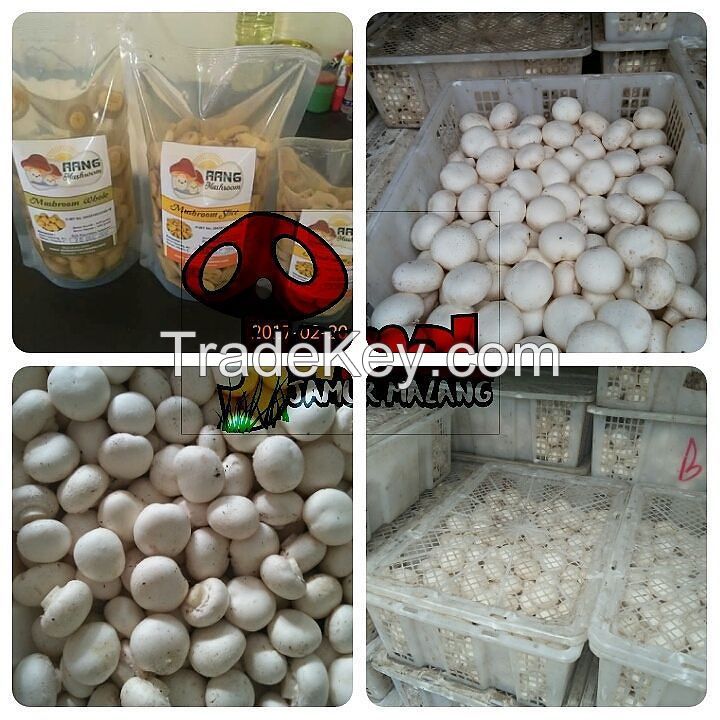 High quality champignon whole mushroom