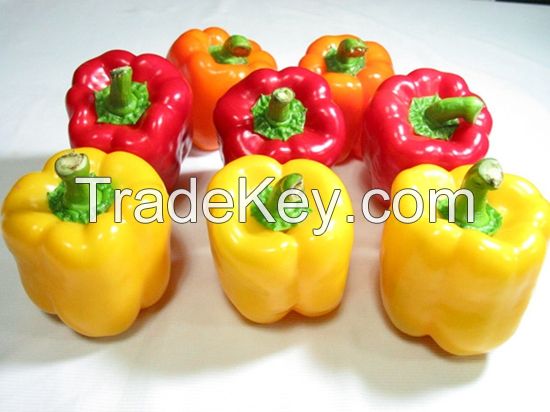 Fresh yellow sweet pepper