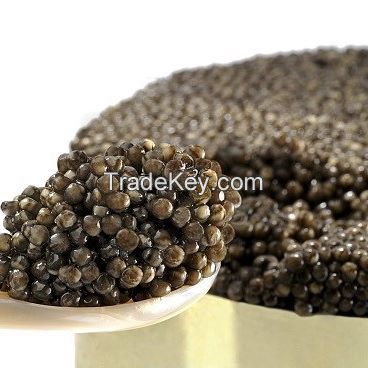 Fresh Iranian Beluga Caviar