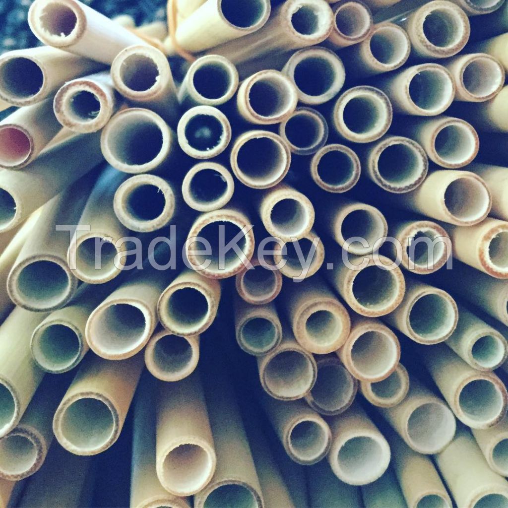 Thick Bamboo Wholesales