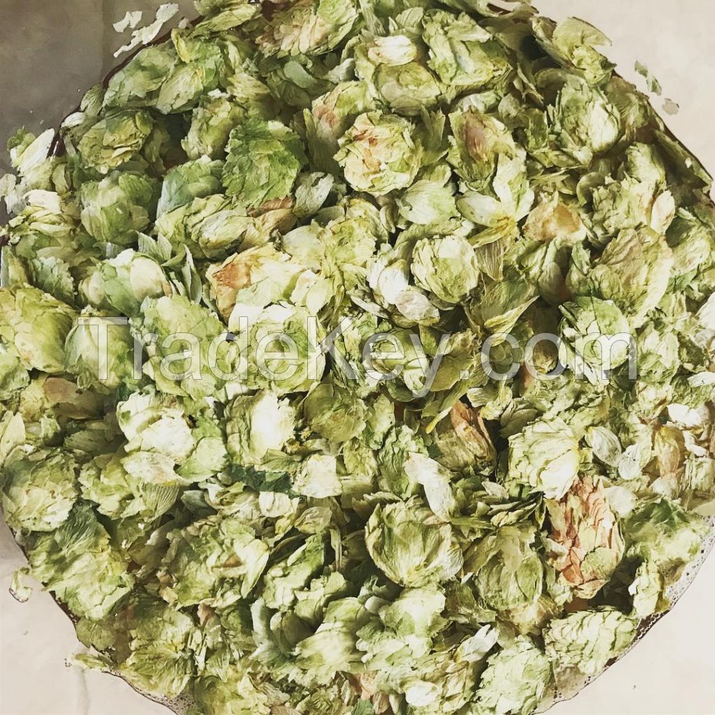 high quality herbal beer hop for beer brewing