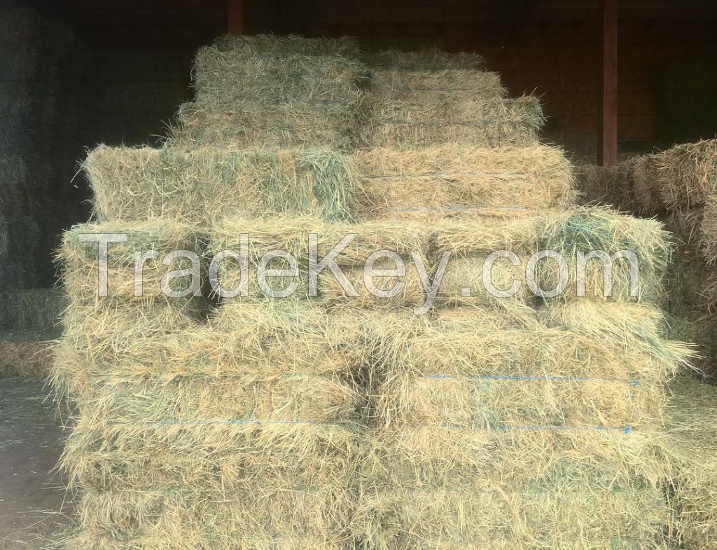 High Protein  Hay For Animal Feeds
