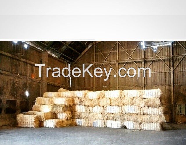 Natural Sisal Fiber