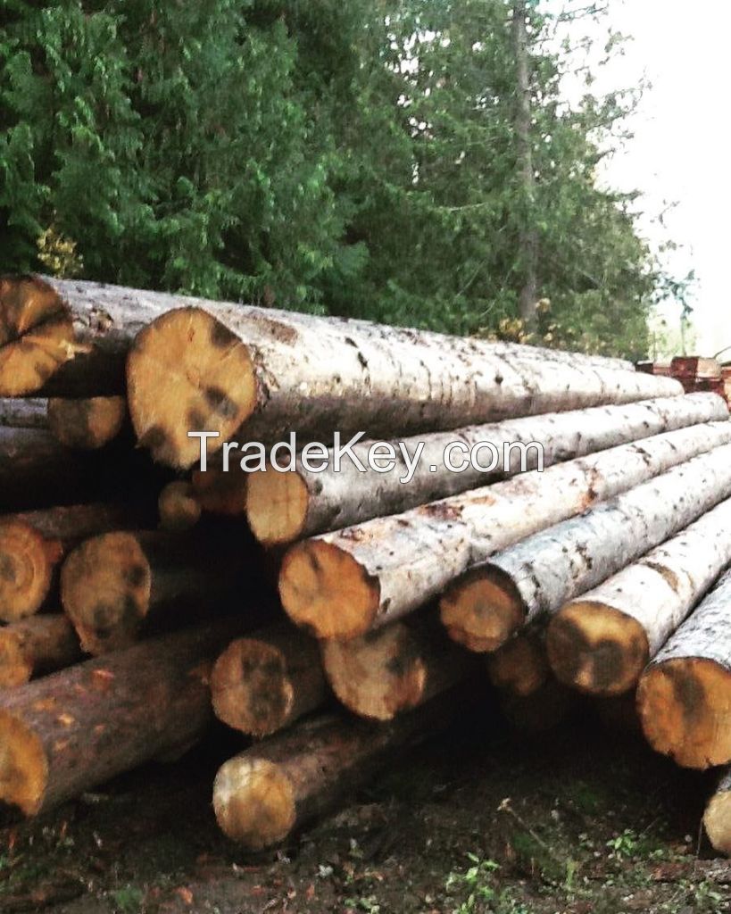 Pine, Teak, Spruce, Eucalyptus, Ceedar, Beech, Fir, Cherry, Hardwood, Rosewood, Hemlock, Oak Logs