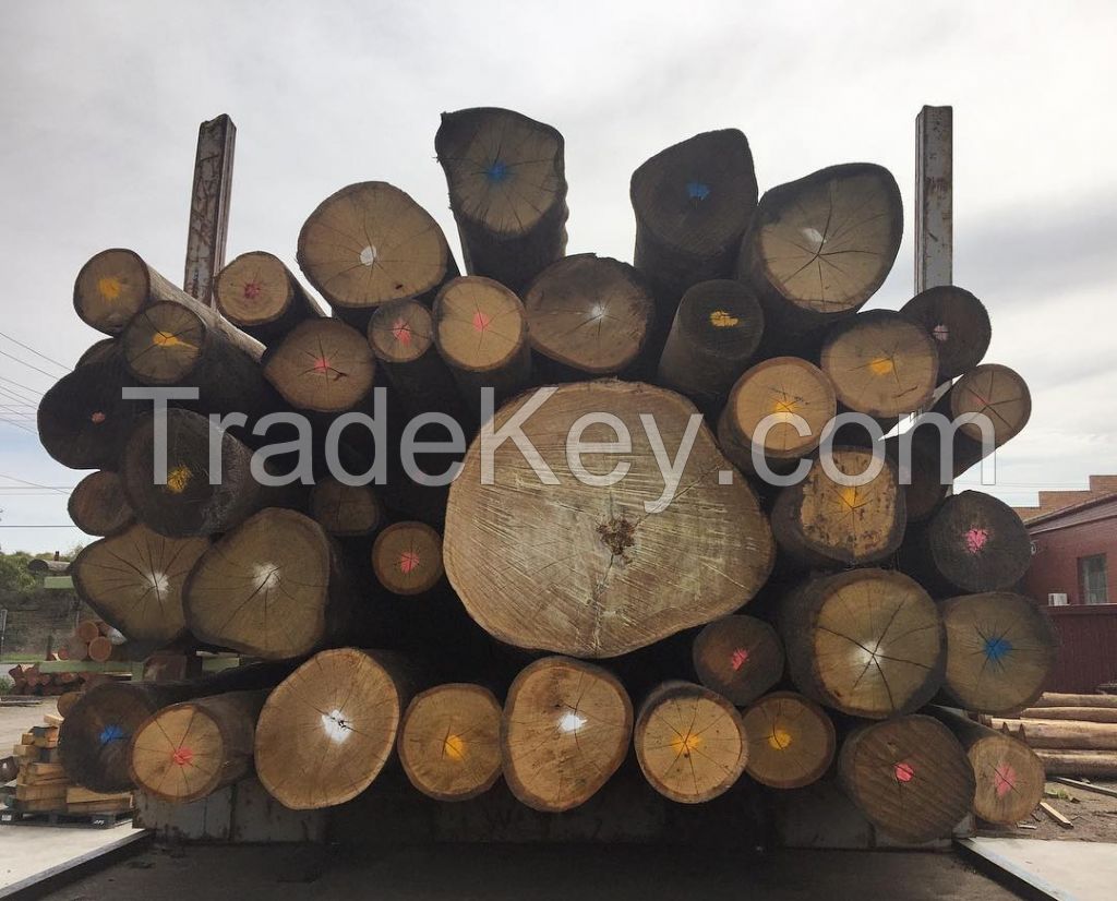 Pine, Teak, Spruce, Eucalyptus, Ceedar, Beech, Fir, Cherry, Hardwood, Rosewood, Hemlock, Oak Logs