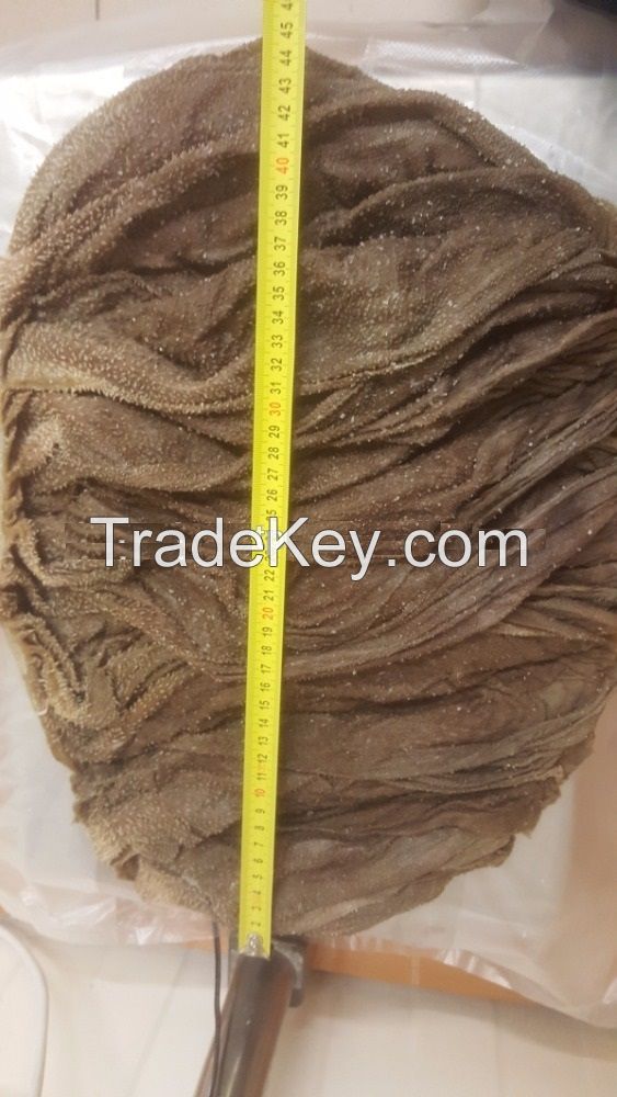 BUFFALO OMASUM / COW OMASUM / BEEF OMASUM, Salted Dried Export Quality Beef Omasum