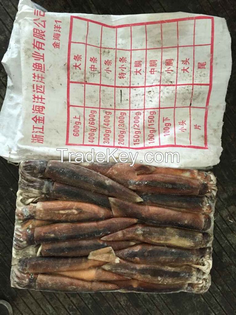oversize 100/150, 150/200 illex squid illex argentinus for Thailand market