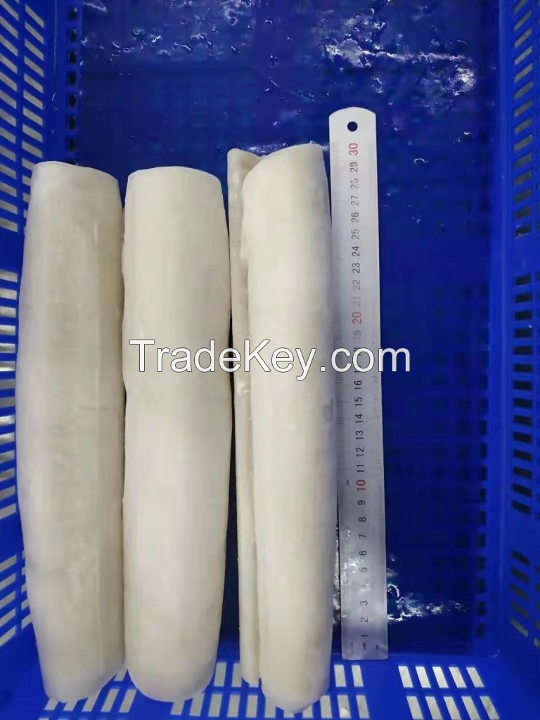 frozen squid fillet roll