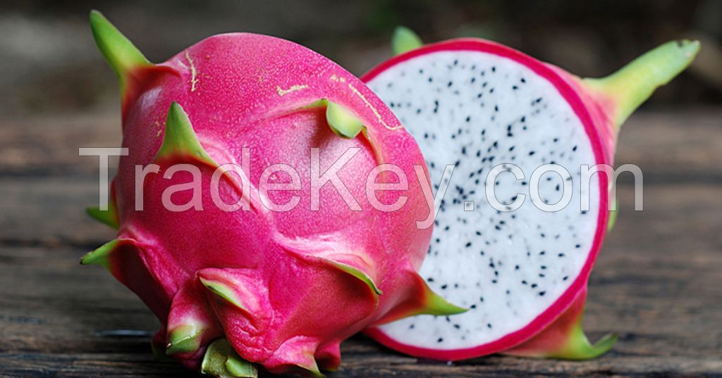 Vietnam Fresh Dragon Fruit - White and Red Flesh - Natural Sweet