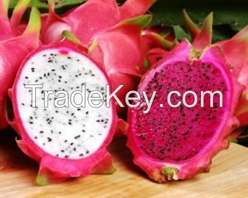 Vietnam Fresh Dragon Fruit - White and Red Flesh - Natural Sweet