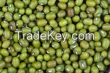 Green Mung Beans