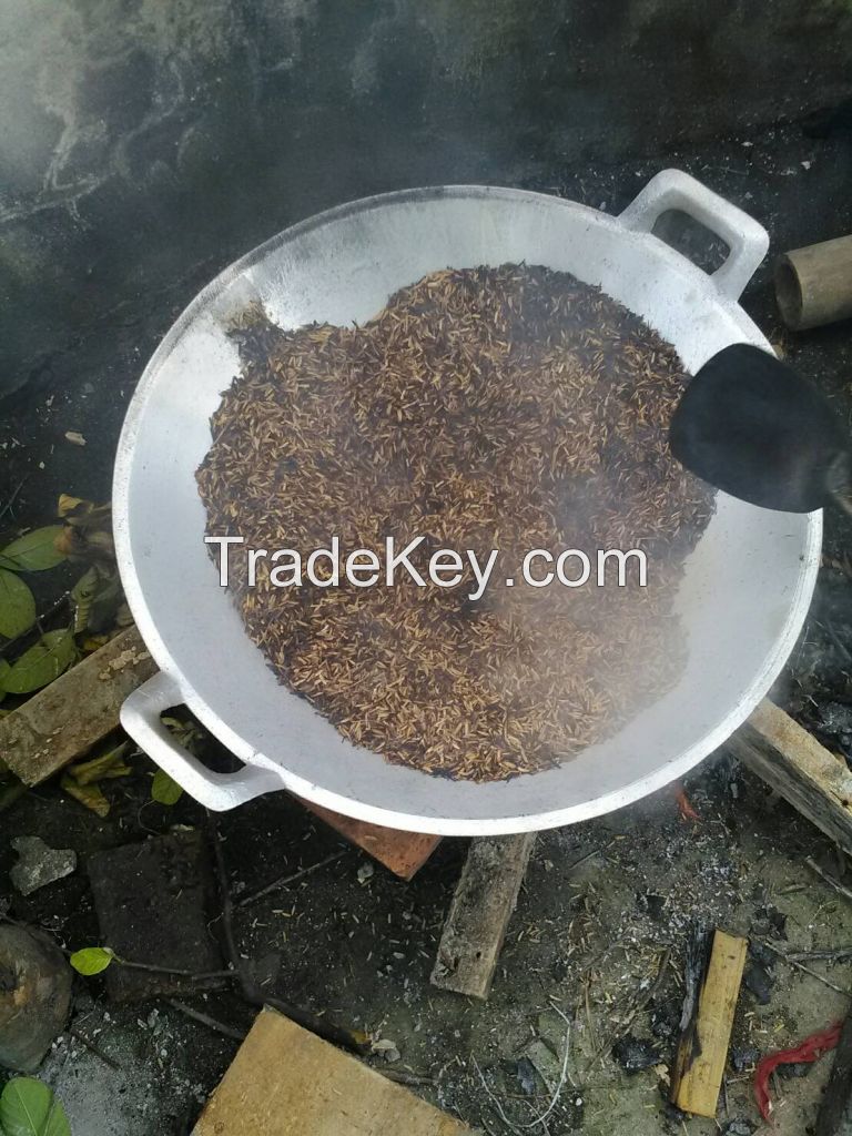 charcoal  rice husk (Arang sekam padi)