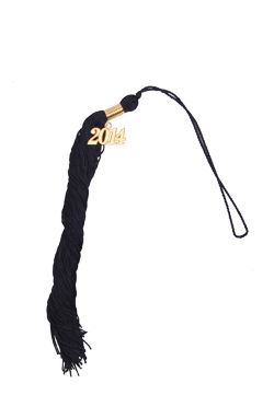 2014 Graduation tassel with charm