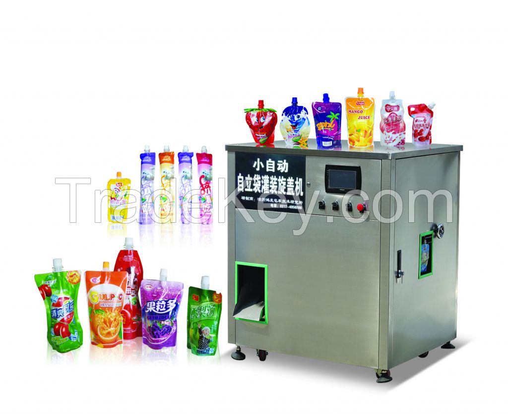 stand up bag filling and capping machine