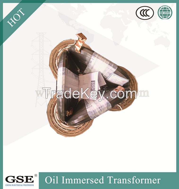 S13-Mr-L 30-2500 kVA Three-Phase Oil-Immersed Fully-Sealed Power/Distribution Transformer