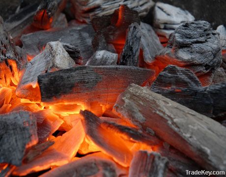 BBQ Charcoals Suppliers | BBQ Charcoal Exporters | BBQ Charcoal Manufacturers | Cheap BBQ Charcoal | Wholesale BBQ Charcoals | Discounted BBQ Charcoal | Bulk BBQ Charcoals | BBQ Charcoal Buyer | Import BBQ Charcoal | BBQ Charcoal Importers | BBQ Charcoal 