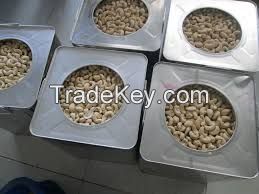 Cashew Nuts Kernels