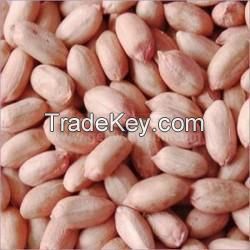 Peanut Seeds