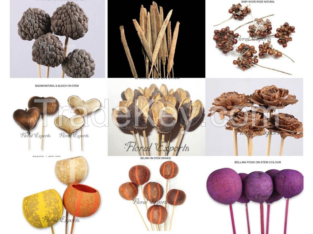 Dried Flowers Decorations