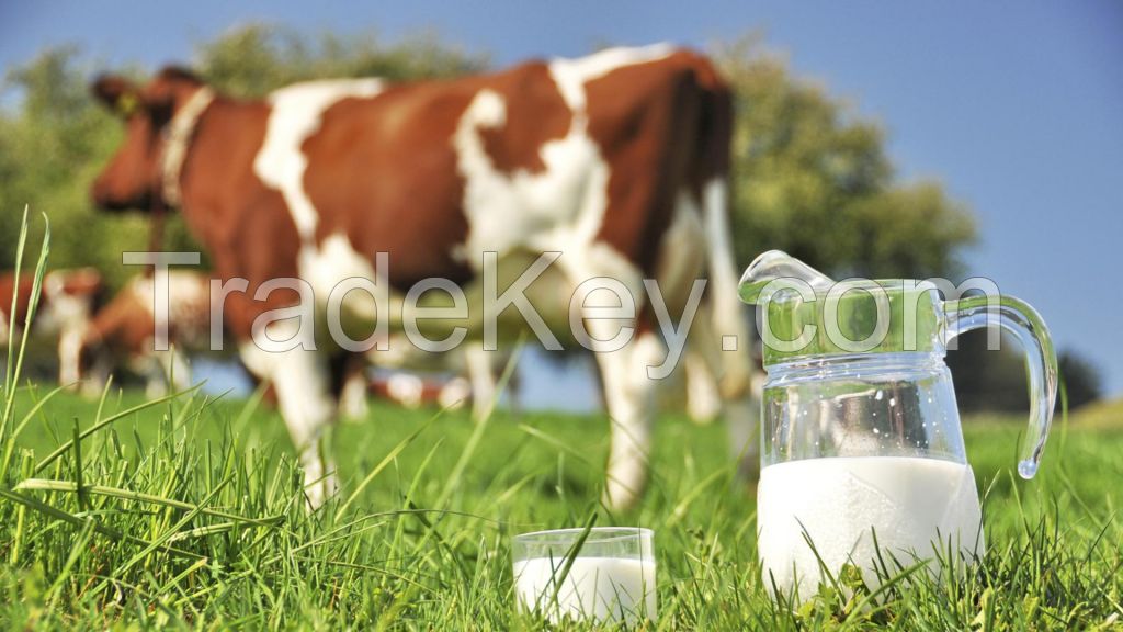 Australian Fresh Milk