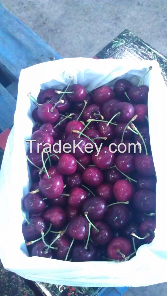 Tasmanian Cherries