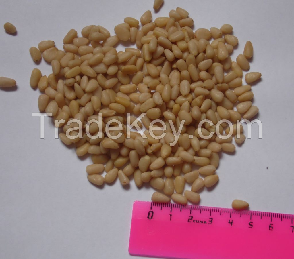 Kernel pine nuts (Siberia, Altay)