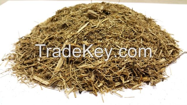 DRIED SUGARCANE BAGASSE