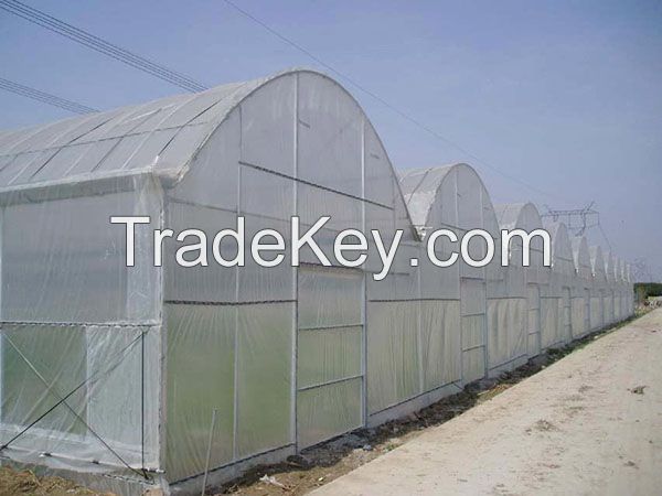 Tropical plastic film greenhouse for tomato cultivation
