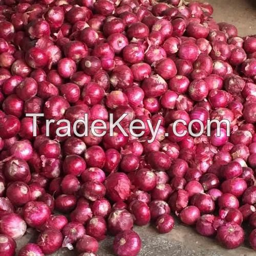 Red Onions