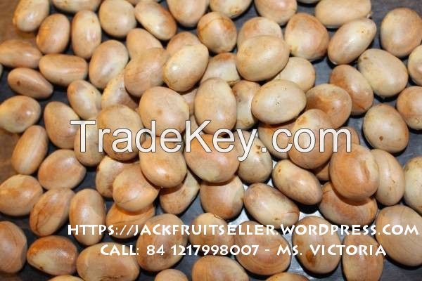 Fresh Jackfruit Seed for animal feed or fertilizer