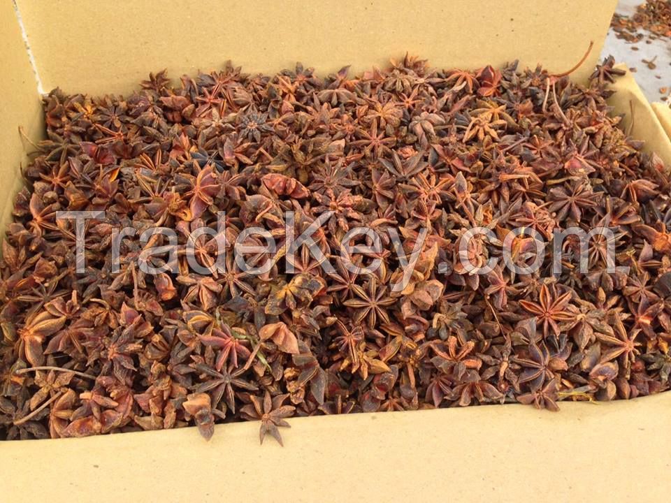 Vietnam Star Anise from Big Factory