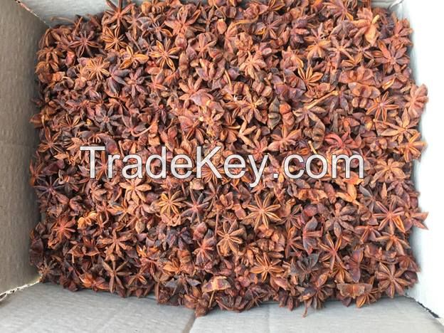 Vietnam Star Anise from Big Factory