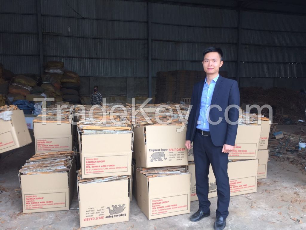 Vietnam Split Cassia (Cinnamon) from Big Factory