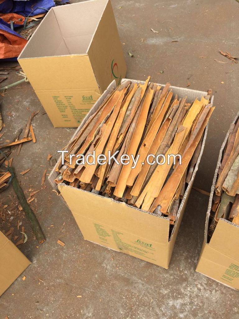 Vietnam Split Cassia (Cinnamon) from Big Factory