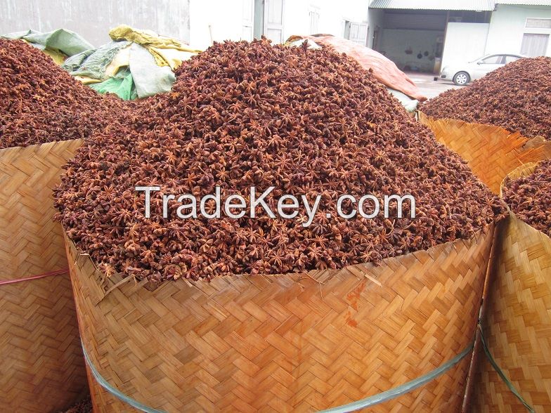 Vietnam Star Anise from Big Factory